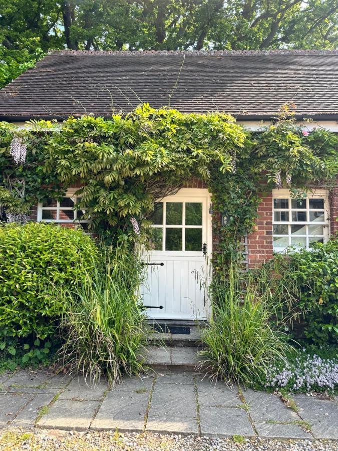 Peaceful Cottage With Private Garden Hailsham Exterior photo
