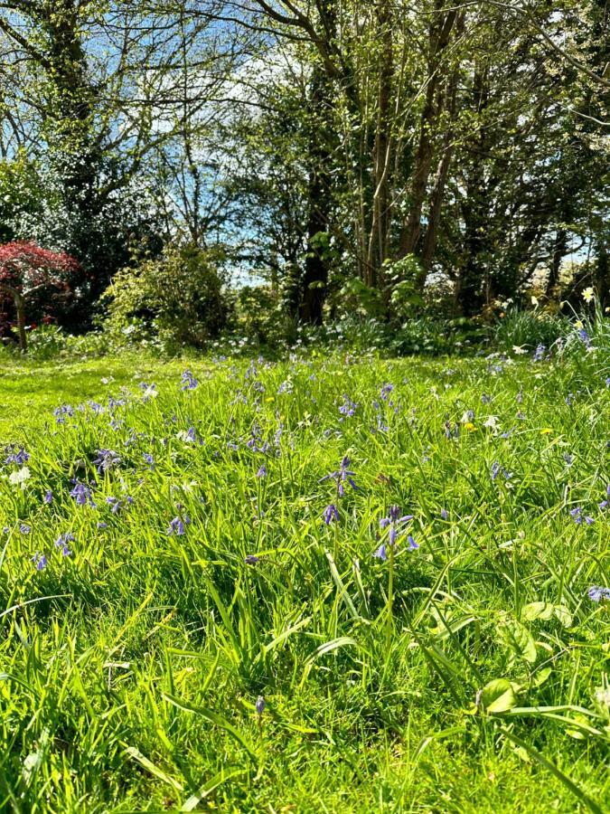 Peaceful Cottage With Private Garden Hailsham Exterior photo